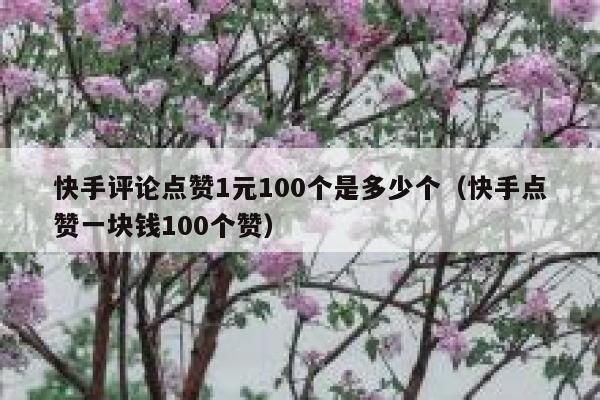 快手评论点赞1元100个是多少个(快手点赞一块钱100个赞) 第1张 快手评论点赞1元100个是多少个(快手点赞一块钱100个赞) 第1张