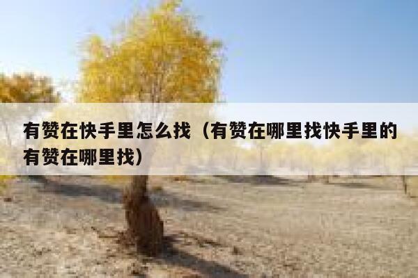 有赞在快手里怎么找（有赞在哪里找快手里的有赞在哪里找） 第1张