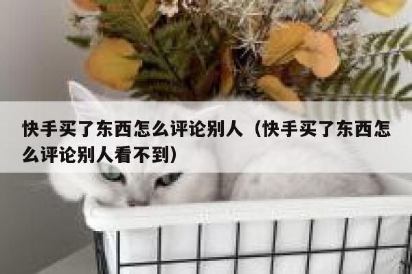 快手买了东西怎么评论别人(快手买了东西怎么评论别人看不到) 第1张 快手买了东西怎么评论别人(快手买了东西怎么评论别人看不到) 第1张