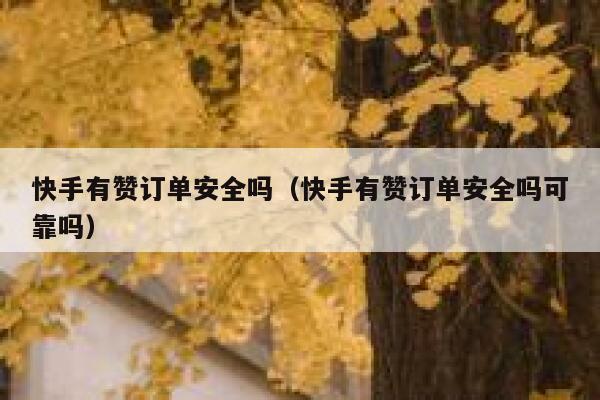 快手有赞订单安全吗(快手有赞订单安全吗可靠吗) 第1张 快手有赞订单安全吗(快手有赞订单安全吗可靠吗) 第1张