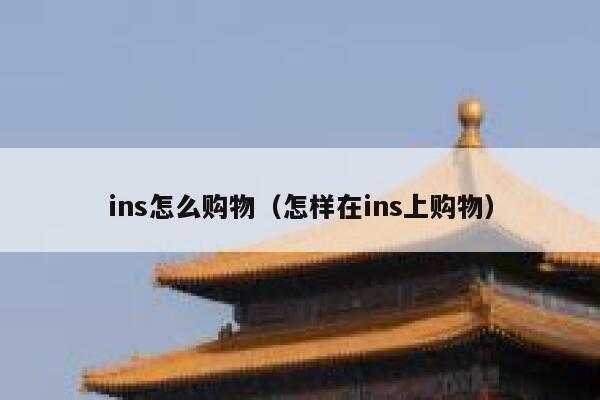 ins怎么购物（怎样在ins上购物） 第1张