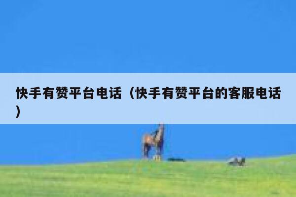快手有赞平台电话（快手有赞平台的客服电话） 第1张