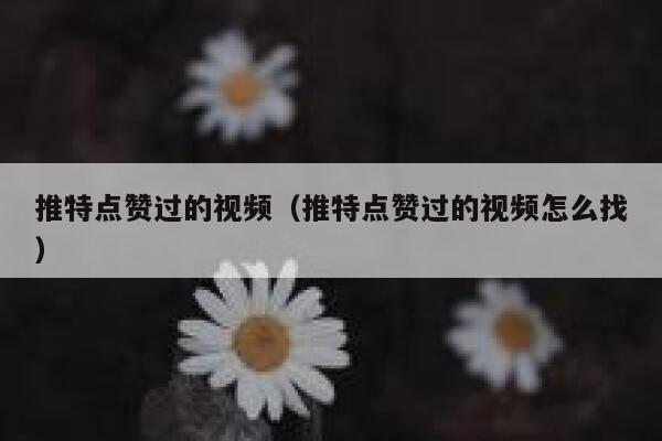 推特点赞过的视频(推特点赞过的视频怎么找) 第1张 推特点赞过的视频(推特点赞过的视频怎么找) 第1张