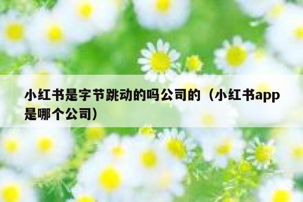 小红书是字节跳动的吗公司的(小红书app是哪个公司) 第1张 小红书是字节跳动的吗公司的(小红书app是哪个公司) 第1张