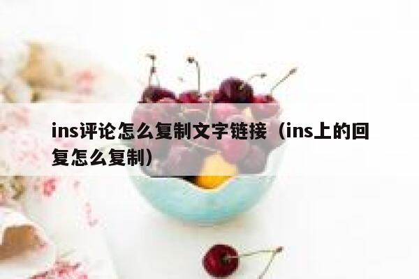 ins评论怎么复制文字链接（ins上的回复怎么复制） 第1张