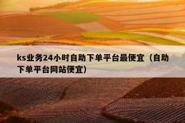 ks业务24小时自助下单平台最便宜（自助下单平台网站便宜） 第1张