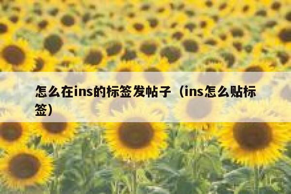 怎么在ins的标签发帖子（ins怎么贴标签） 第1张
