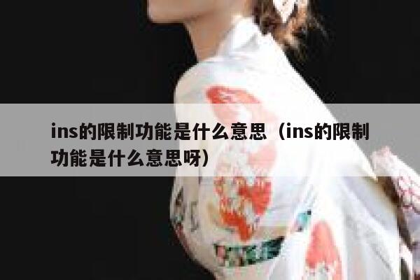 ins的限制功能是什么意思（ins的限制功能是什么意思呀） 第1张