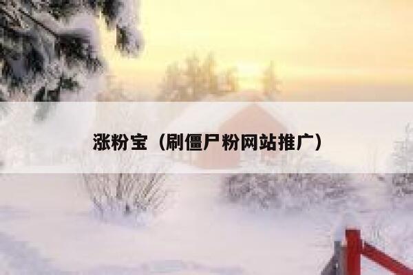 涨粉宝（刷僵尸粉网站推广） 第1张