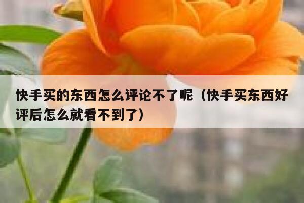 快手买的东西怎么评论不了呢（快手买东西好评后怎么就看不到了） 第1张
