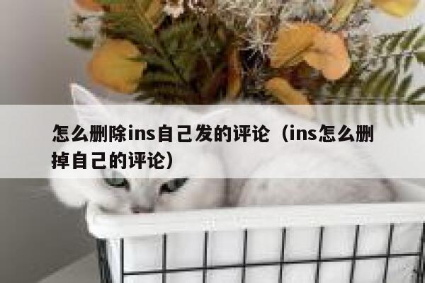 怎么删除ins自己发的评论(ins怎么删掉自己的评论) 第1张 怎么删除ins自己发的评论(ins怎么删掉自己的评论) 第1张