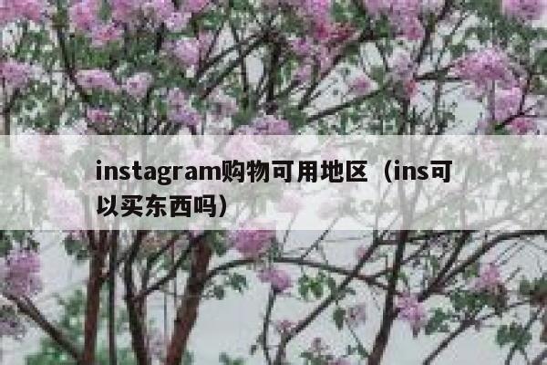 instagram购物可用地区（ins可以买东西吗） 第1张