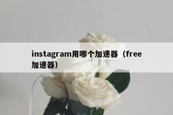 instagram用哪个加速器（free加速器） 第1张