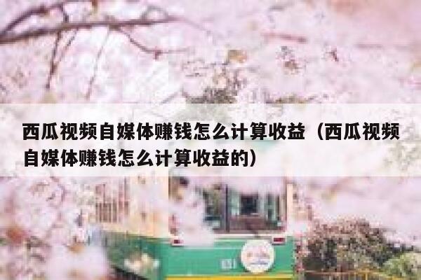 西瓜视频自媒体赚钱怎么计算收益（西瓜视频自媒体赚钱怎么计算收益的） 第1张