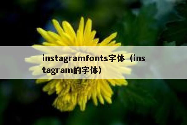 instagramfonts字体（instagram的字体） 第1张