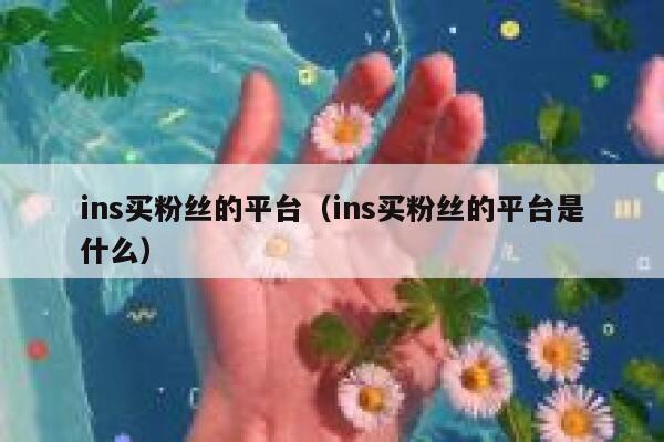 ins买粉丝的平台（ins买粉丝的平台是什么） 第1张