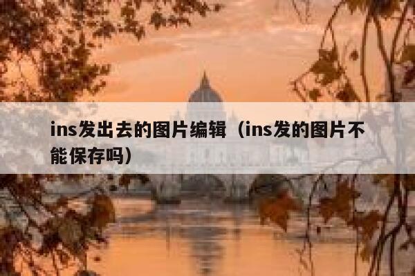 ins发出去的图片编辑（ins发的图片不能保存吗） 第1张