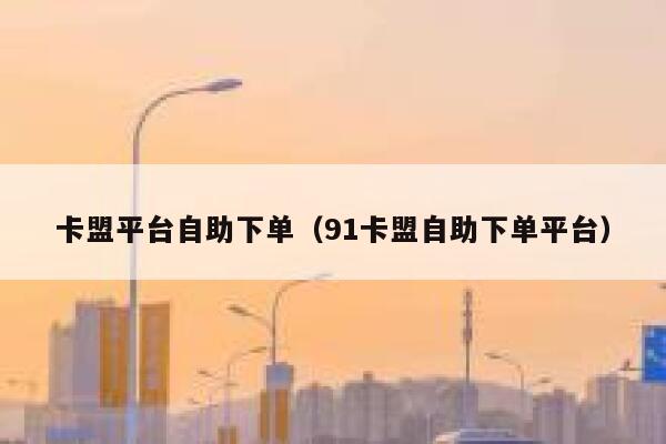 卡盟平台自助下单（91卡盟自助下单平台） 第1张