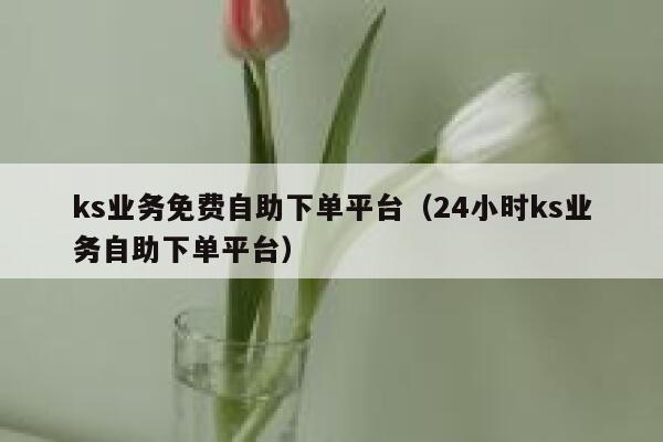 ks业务免费自助下单平台(24小时ks业务自助下单平台) 第1张 ks业务免费自助下单平台(24小时ks业务自助下单平台) 第1张
