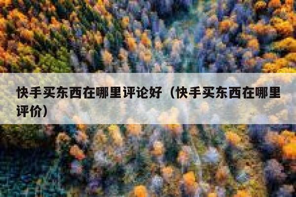 快手买东西在哪里评论好（快手买东西在哪里评价） 第1张