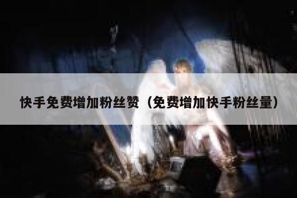 快手免费增加粉丝赞（免费增加快手粉丝量） 第1张