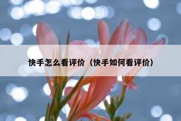 快手怎么看评价(快手如何看评价) 第1张 快手怎么看评价(快手如何看评价) 第1张