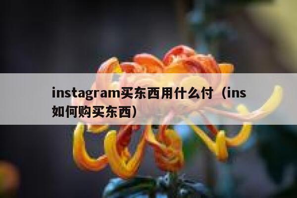 instagram买东西用什么付（ins如何购买东西） 第1张