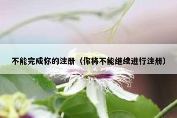不能完成你的注册（你将不能继续进行注册） 第1张