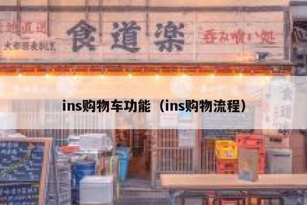 ins购物车功能（ins购物流程） 第1张