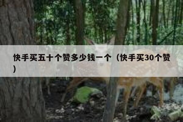 快手买五十个赞多少钱一个（快手买30个赞） 第1张
