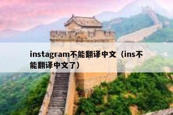 instagram不能翻译中文（ins不能翻译中文了） 第1张