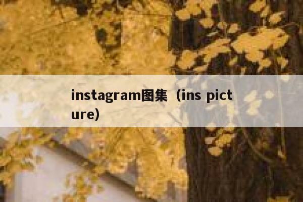 instagram图集（ins picture） 第1张