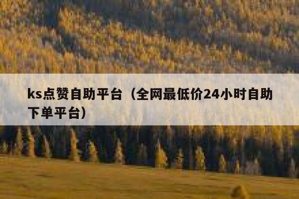 ks点赞自助平台（全网最低价24小时自助下单平台） 第1张