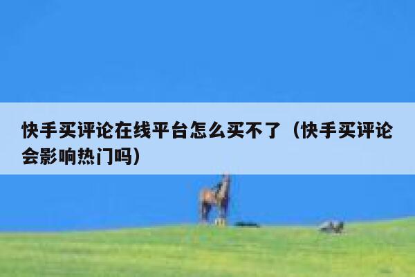 快手买评论在线平台怎么买不了（快手买评论会影响热门吗） 第1张