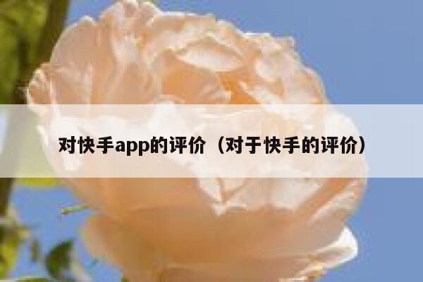 对快手app的评价（对于快手的评价） 第1张