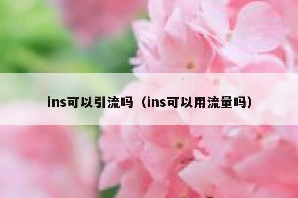 ins可以引流吗（ins可以用流量吗） 第1张