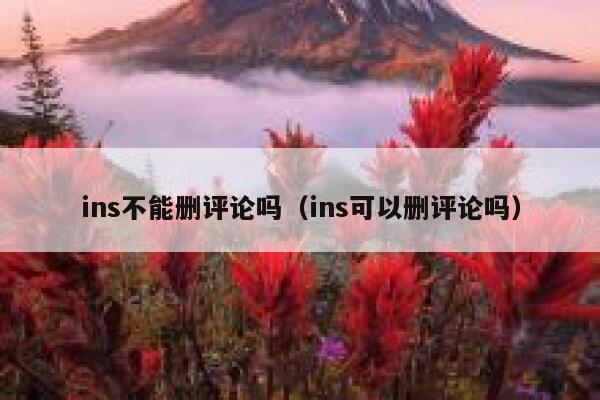 ins不能删评论吗(ins可以删评论吗) 第1张 ins不能删评论吗(ins可以删评论吗) 第1张