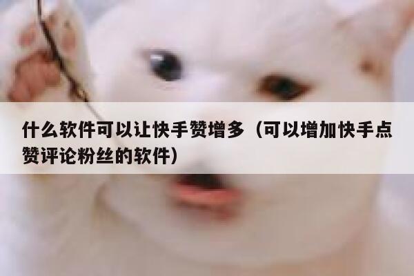 什么软件可以让快手赞增多（可以增加快手点赞评论粉丝的软件） 第1张