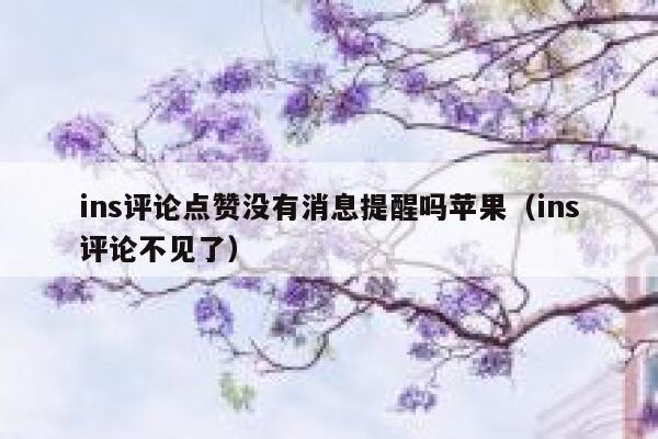 ins评论点赞没有消息提醒吗苹果（ins评论不见了） 第1张