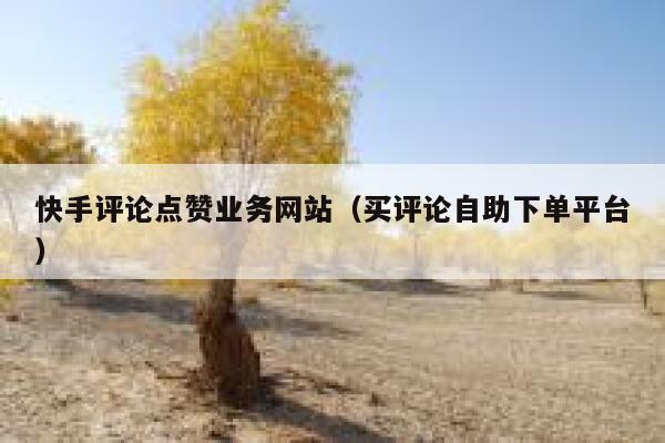 快手评论点赞业务网站（买评论自助下单平台） 第1张