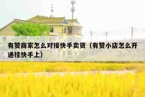 有赞商家怎么对接快手卖货（有赞小店怎么开通挂快手上） 第1张