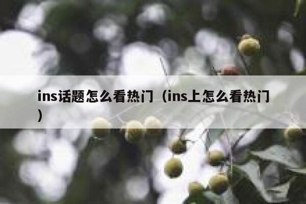ins话题怎么看热门（ins上怎么看热门） 第1张