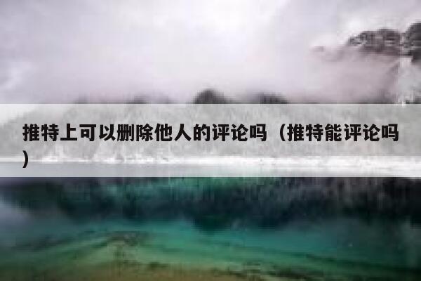 推特上可以删除他人的评论吗（推特能评论吗） 第1张