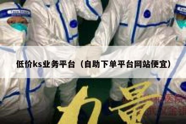 低价ks业务平台（自助下单平台网站便宜） 第1张