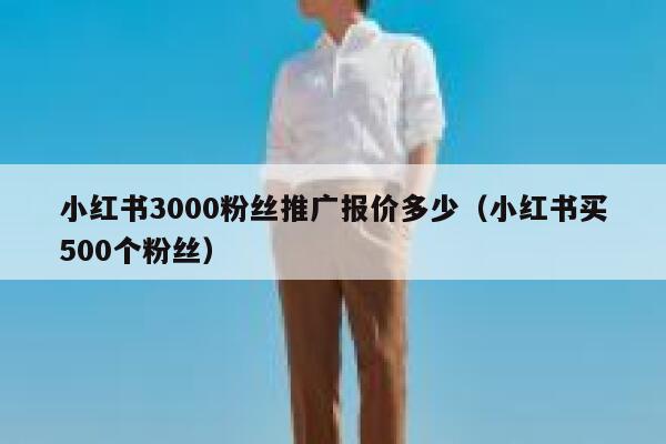 小红书3000粉丝推广报价多少（小红书买500个粉丝） 第1张