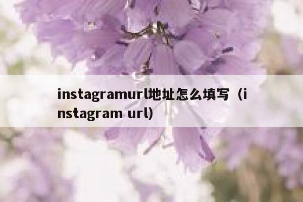 instagramurl地址怎么填写(instagram url) 第1张 instagramurl地址怎么填写(instagram url) 第1张