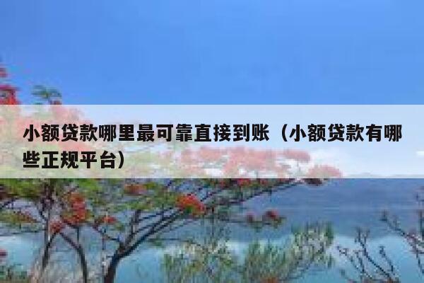 小额贷款哪里最可靠直接到账（小额贷款有哪些正规平台） 第1张