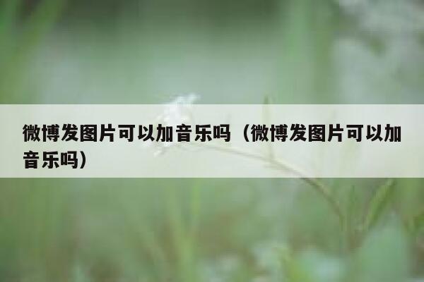 微博发图片可以加音乐吗（微博发图片可以加音乐吗） 第1张