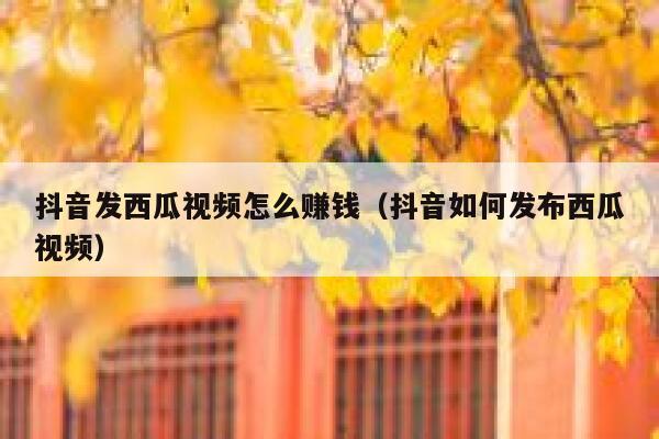 抖音发西瓜视频怎么赚钱（抖音如何发布西瓜视频） 第1张