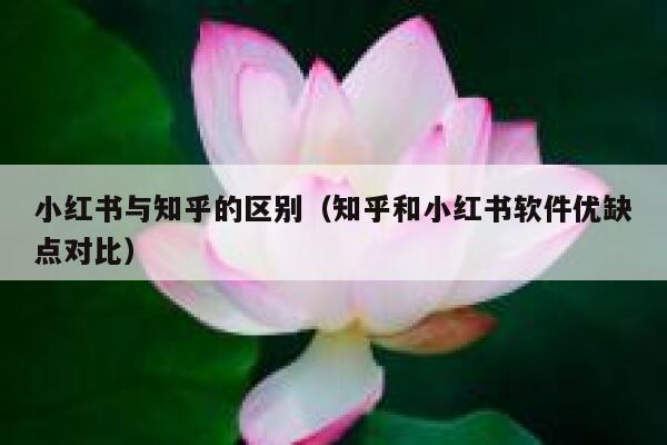 小红书与知乎的区别（知乎和小红书软件优缺点对比） 第1张